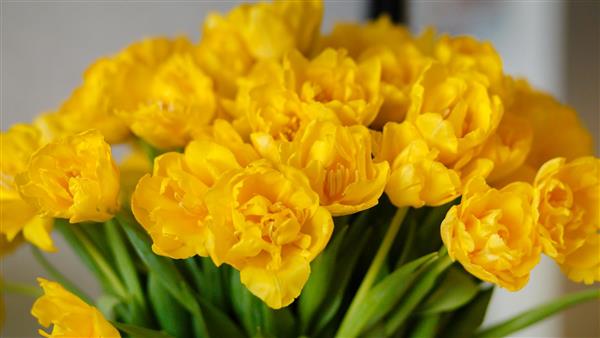 گلدان دسته گل های لاله و رز زرد