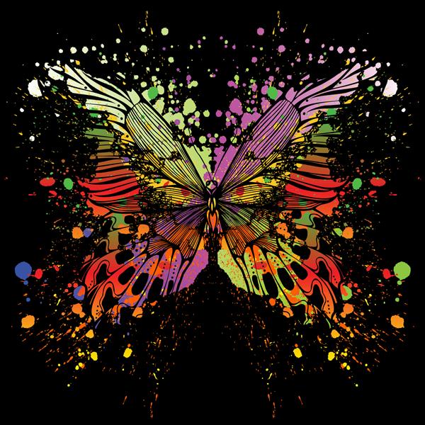 پروانه در پس زمینه با لکه های رنگی تصویر برداری
