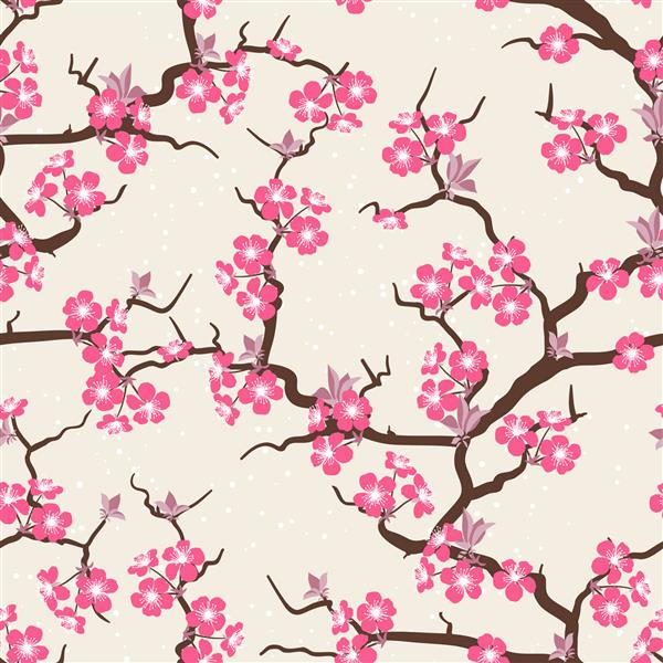 شکوفه های گیلاس الگوی گل های بدون درز