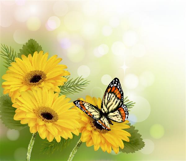 زمینه طبیعت با گلها و پروانه های زیبا و زرد تصویر برداری