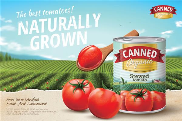 کنسرو تبلیغات گوجه فرنگی با سبزیجات تازه در زمین سبز در تصویر سه بعدی