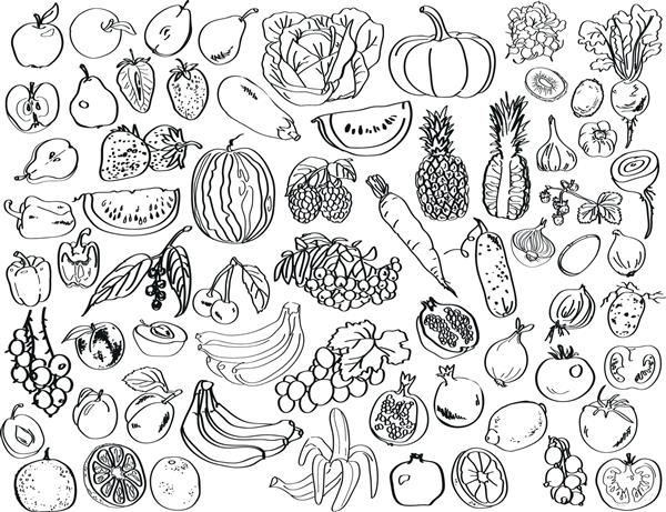 تصویری از رنگ سیاه روی زمینه سفید رنگ سبزیجات میوه ها و توت ها