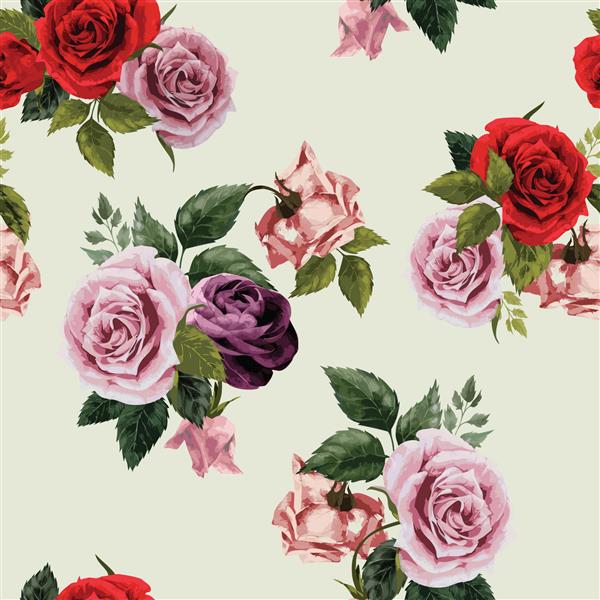 طرح گل یکپارچه با گلهای رز قرمز بنفش و صورتی در زمینه روشن آبرنگ تصویر برداری