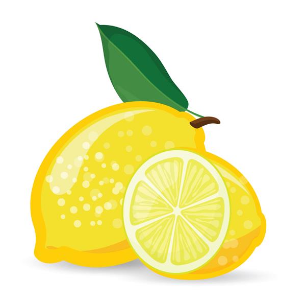 لیمو تازه و یک برش لیمو