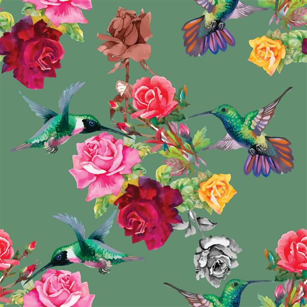 پرندگان عجیب و غریب کولبری با گل رز گل رز الگوی بدون رنگ و رنگی در تصویر زمینه وکتور سبز