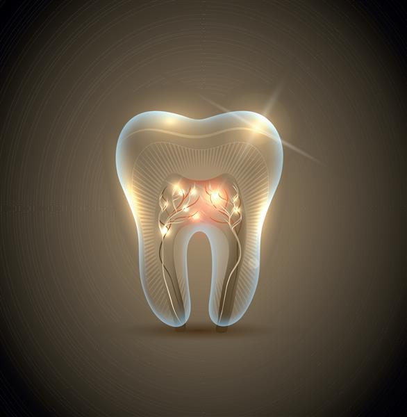 دندان شفاف طلایی زیبا با تصویر ریشه نماد مراقبت از دندان های سالم