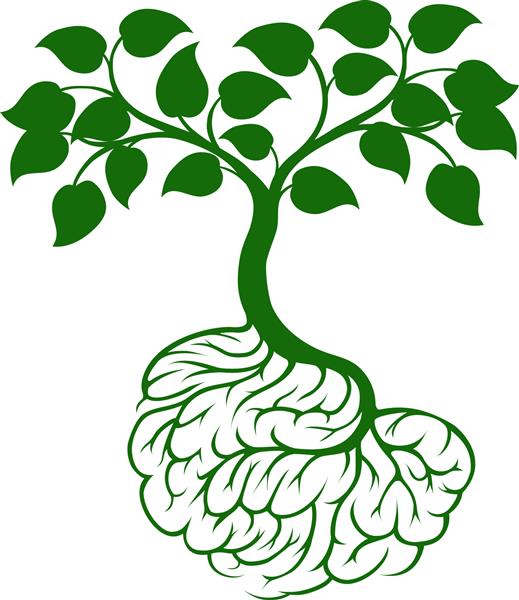 درختی که از ریشه به شکل مغز انسان در می آید