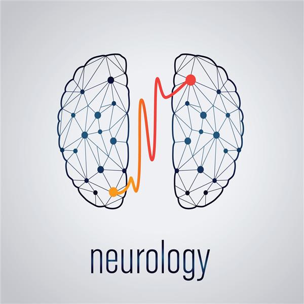مفهوم نورولوژی دو قسمت مرتبط مغز انسان