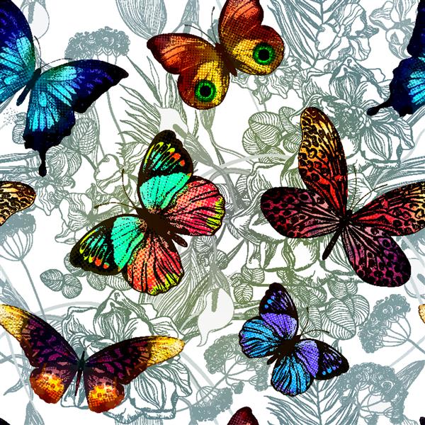 الگوی یکپارچه با گل های شکفته و پروانه های پرواز وکتور تصویر رنگارنگ