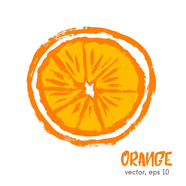 تصویر میوه ای طرح دار از پرتقال ماده غذایی برس کشیده شده با دست نماد وکتور زیست و محیط زیست الگوی طراحی آرم مفهومی برای محصولات ارگانیک برداشت غذای سالم گیاهخواری رژیم غذایی غذایی خام