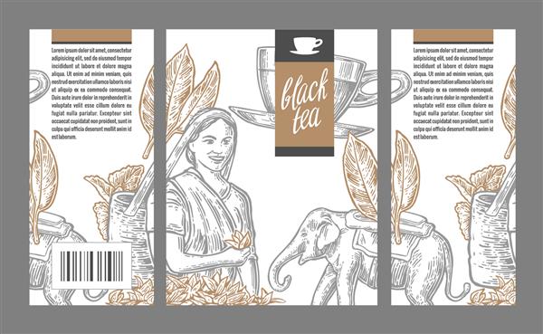 زن جمع کننده برگها جام فیل وکتور مصور حک شده مجزا برای برچسب چای سیاه بسته بندی جعبه
