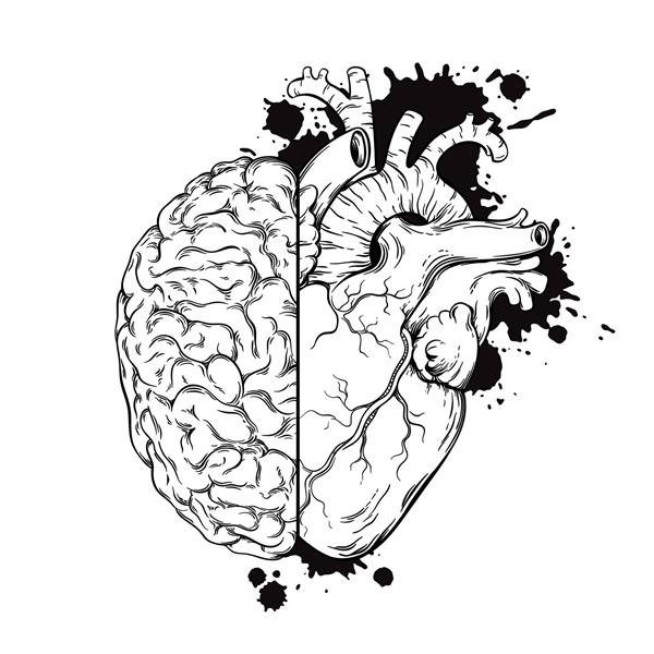 دست خط کشیده مغز و قلب انسان نیمه طرح خال کوبی طرح گرانج که بر روی تصویر زمینه وکتور سفید قرار دارد منطق و مفهوم اولویت احساسات