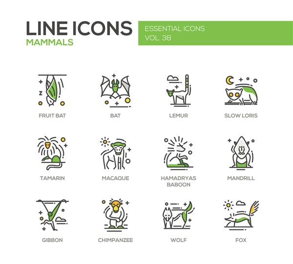 پستانداران - مجموعه ای از آیکون های مدرن و طراحی خطوط وکتور و حیوانات خفاش لمور لوریس آرام تامارین ماکاک هامدریاس بابون ماندریل گیبون شامپانزه روباه گرگ