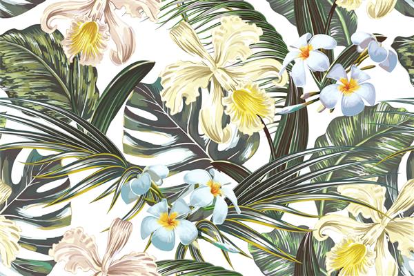 الگوی گرمسیری بدون درز گل پس زمینه تابستانی با گل های برگ خرما برگ جنگل گل ارکیده کاغذ دیواری گیاه شناسی جذاب تصویرگری به سبک هاوایی