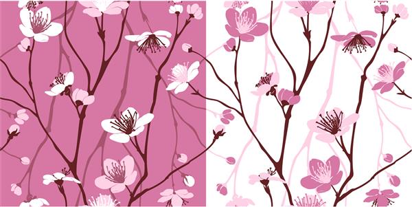 الگوی یکپارچه با شکوفه های گیلاس بهاری