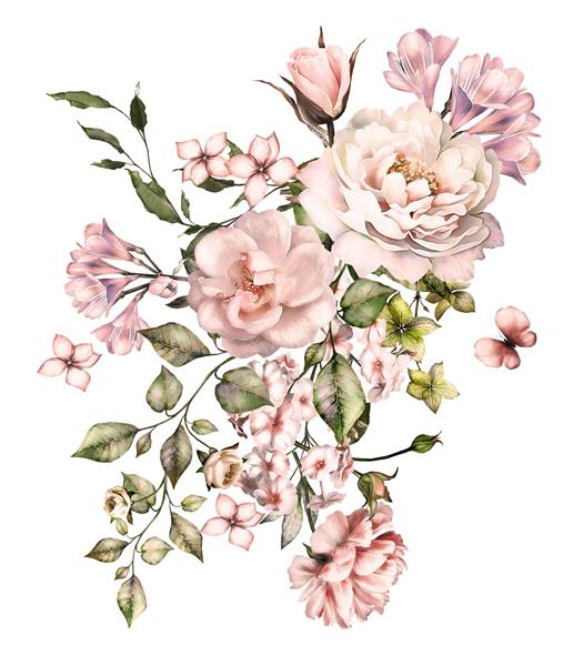 گل های آبرنگ تصویر گل برگ و جوانه ها ترکیب گیاه شناسی برای عروسی یا کارت تبریک شاخه گل رز عاشقانه