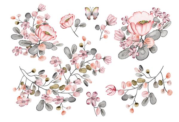 نقاشی آبرنگ شاخه با برگ و گل تصویر گیاه شناسی چیدمانی از گلهای صورتی و برگهای رنگارنگ مجموعه ای از عناصر گل