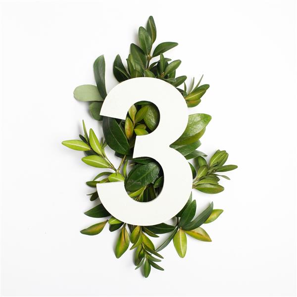 شکل شماره سه با برگهای سبز مفهوم طبیعت دراز کشیده نمای بالا