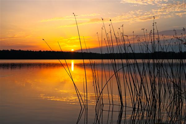 منظره دریاچه صبح با طلوع خورشید بر فراز جنگل