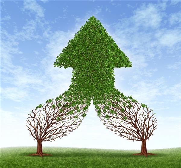 کار در کنار هم نماد تجاری و مفهوم ادغام مالی به عنوان دو درختی که به عنوان یکی از درختان دارای شکل پیکان در حال رشد سالم به عنوان نمادی از موفقیت در کار تیمی به یکدیگر متصل شده و ادغام می شوند