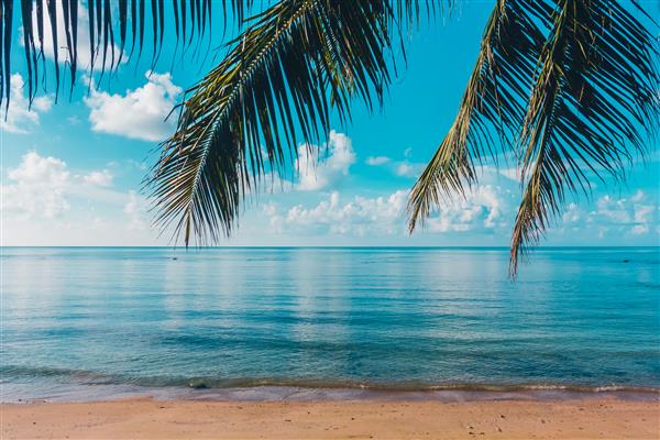 ساحل گرمسیری و دریا زیبا در جزیره بهشت ​​با درخت خرما نارگیل برای مسافرت و تعطیلات در تعطیلات