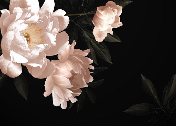 کارت جذاب گل با گل گل صد تومانی لاله ها سوسن گل اورتانسیا روی زمینه سیاه الگوی طراحی دعوت نامه های عروسی تبریک های تعطیلات کارت ویزیت بسته بندی دکوراسیون