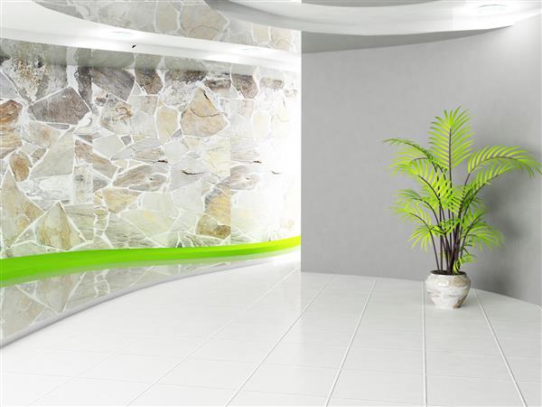 یک اتاق خاکستری زیبا با یک گیاه