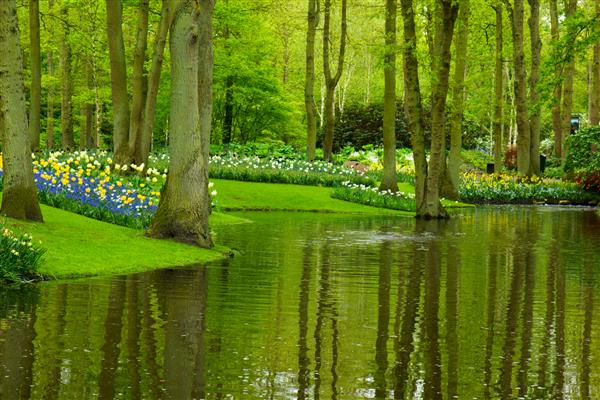 رودخانه و گلزار رنگارنگ در باغ هلند