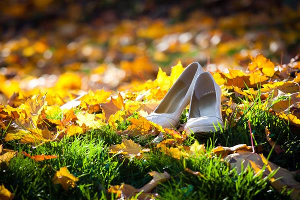 کفش عروس روی برگ های طلایی