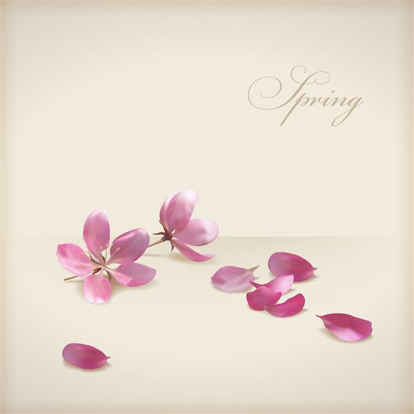 طرح شکوفه های گیلاس گلهای صورتی گلبرگهای تازه افتاده و متن در زمینه بژ می تواند به عنوان عروسی تبریک کارت دعوت استفاده شود