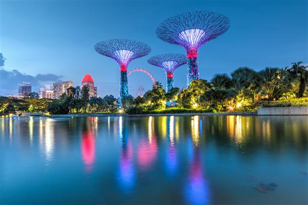 سنگاپور باغ های کنار خلیج نمای شبانه از نمایش درختان سبک در سنگاپور