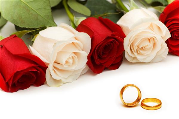 گل های رز و حلقه های ازدواج جدا شده روی سفید