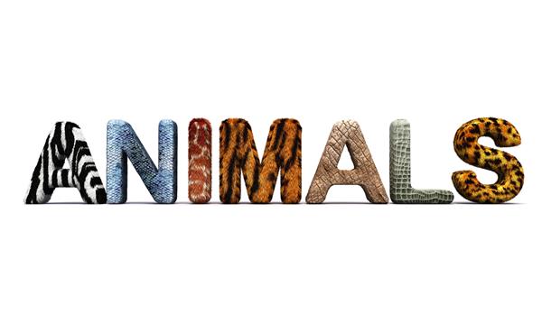 کلمه حیوانات با حروف خزدار
