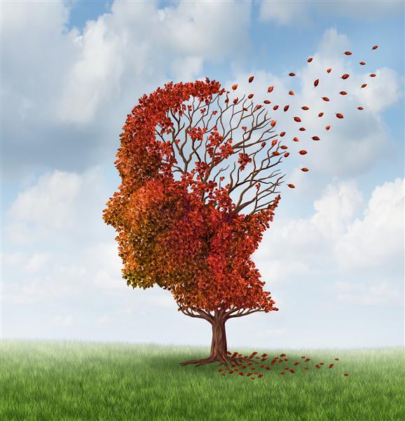 بیماری مغز با از دست دادن حافظه به دلیل بیماری دمانس و آلزایمر به عنوان نماد پزشکی از یک درخت فصل پاییز به شکل سر انسان و از دست دادن مغز برگ به عنوان مفهوم کاهش هوش