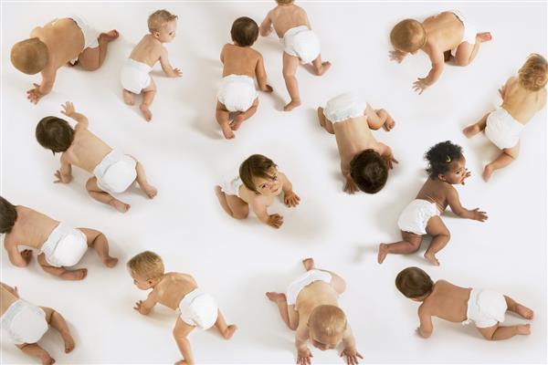 گروهی از نوزادان چند ملیتی که در زمینه سفید خزیده شده اند