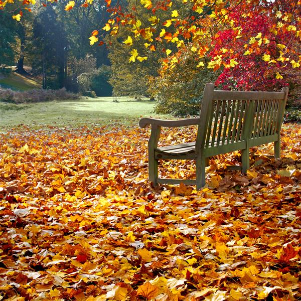 عکس طبیعی از پاییز