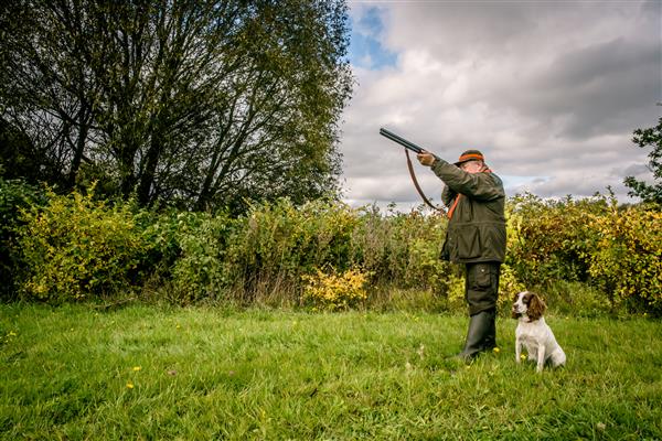شکارچی با سگ با تفنگ خود را هدف گرفت