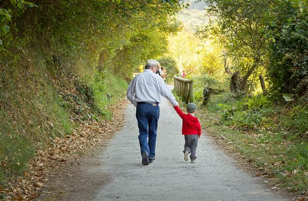نمای پشتی پدربزرگ و نوه در حال قدم زدن در یک مسیر طبیعت