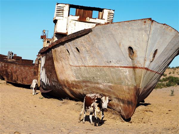 قایق در صحرا در اطراف مویناق مویناک یا موینوک - دریاچه آرال یا دریاچه آرال - ازبکستان