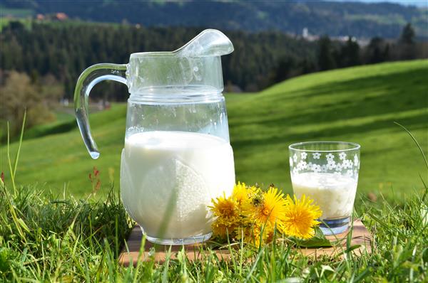 کوزه شیر منطقه امنتال سوئیس