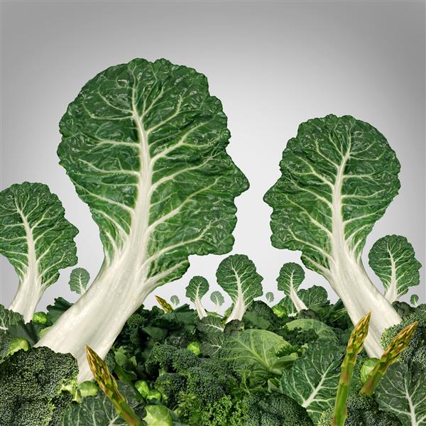 جامعه گیاهخواران و مفهوم جامعه تغذیه سالم به عنوان یک گروه از سبزیجات برگ سبز شکل گرفته به عنوان سر انسان به عنوان یک نماد سلامت ایده ارگانیک و کشاورزی برای شبکه اجتماعی تولید کنندگان مواد غذایی