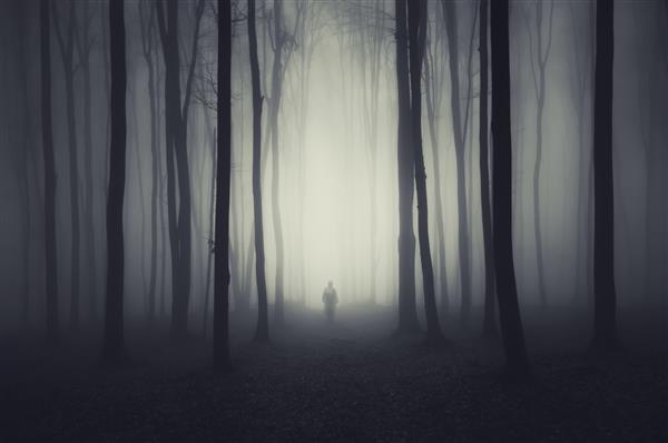 صحنه شبح وار جنگل با شبح در یک مسیر