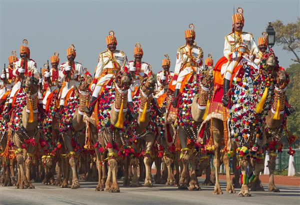 دهلی نو هند سربازان نیروی امنیتی مرزی هند سوار بر شترهای خود در مسیر راج به عنوان آمادگی برای رژه سالانه روز جمهوری