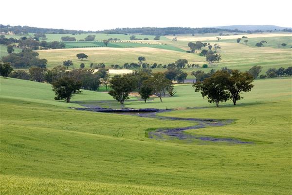 زمین های کشاورزی در جنوب غربی نیو ساوت ولز استرالیا