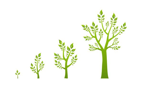 رشد درخت سبز مفهوم زیست محیطی