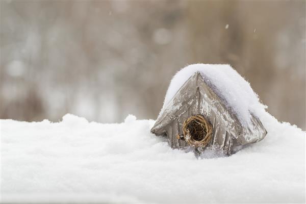 دکور خانه برای پرندگان زمستان برف بارید و تمام دانه های برف سفید کریستال را پوشاند