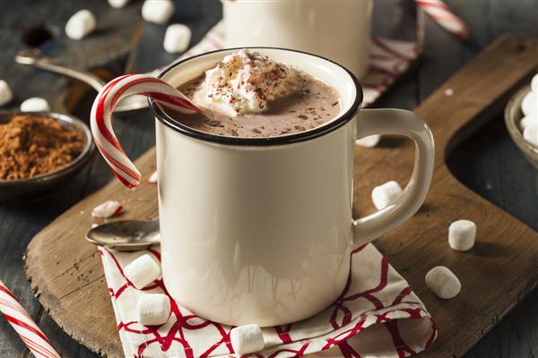 شکلات داغ نعنا فلفلی خانگی با خامه زده شده