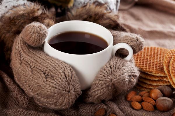 فنجان چای زمستانی در دستکش گرم