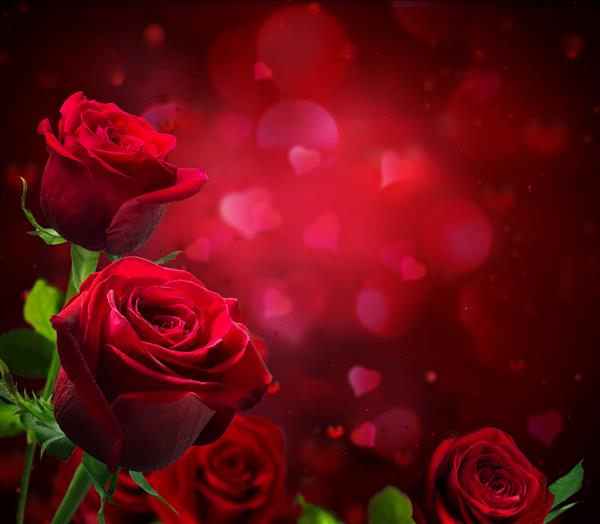 پس زمینه ولنتاین با قلب و گل رز قرمز