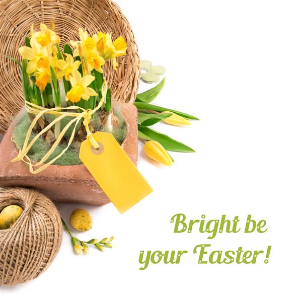 حاشیه عید پاک با لاله های زرد گل نرگس و تزئینات طبیعی فضای متن شما